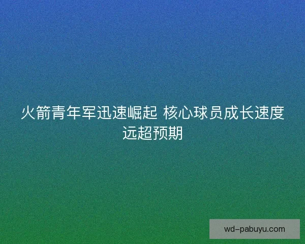 火箭青年军迅速崛起 核心球员成长速度远超预期